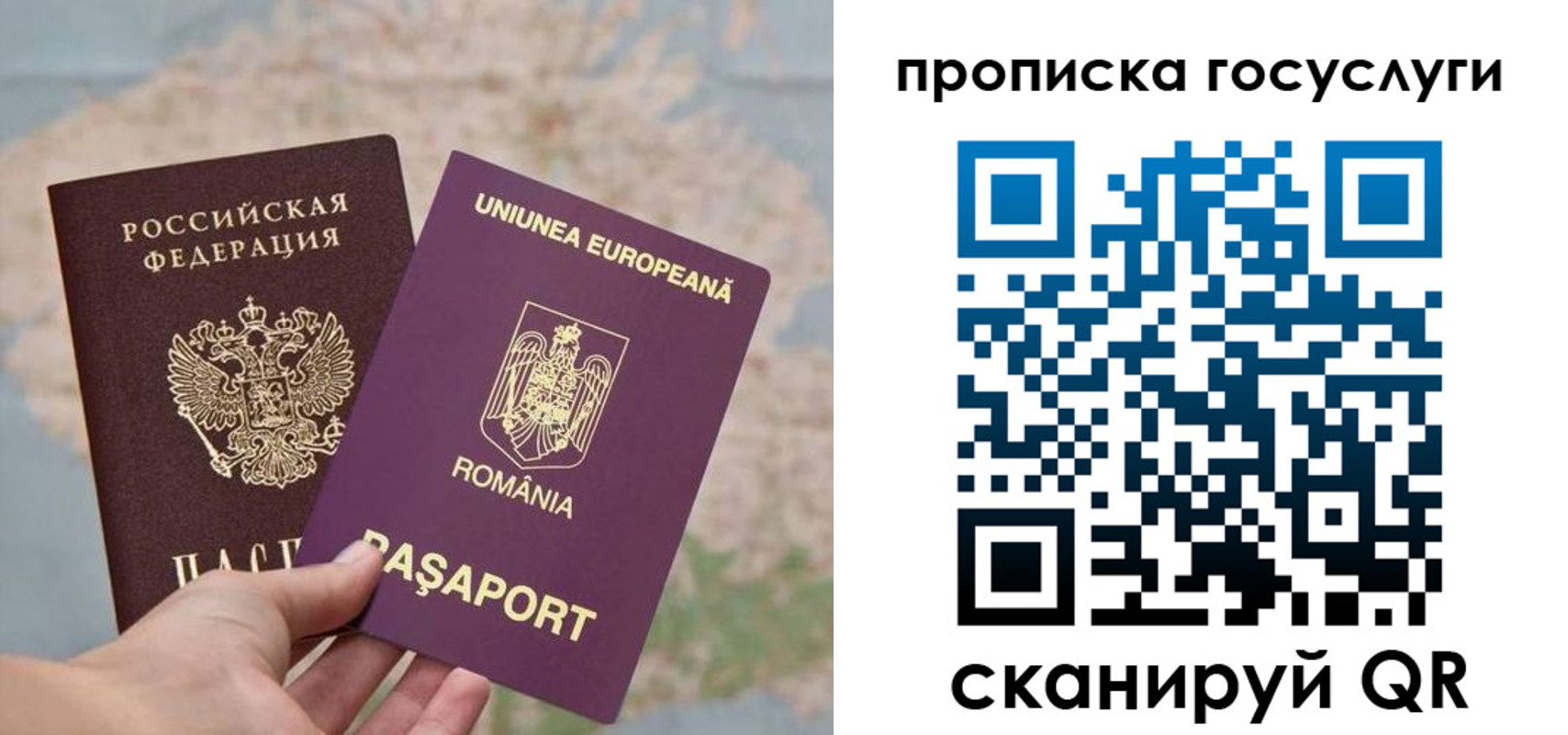 прописка паспорт в Череповце